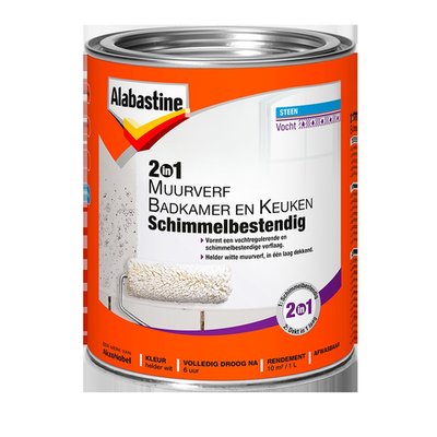 ALAB. MUURV. BADKAMER&KEUKEN 1 LTR