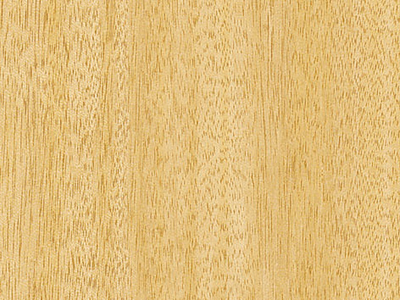 DECO FOLIE 45X2M HOUT BEUKEN